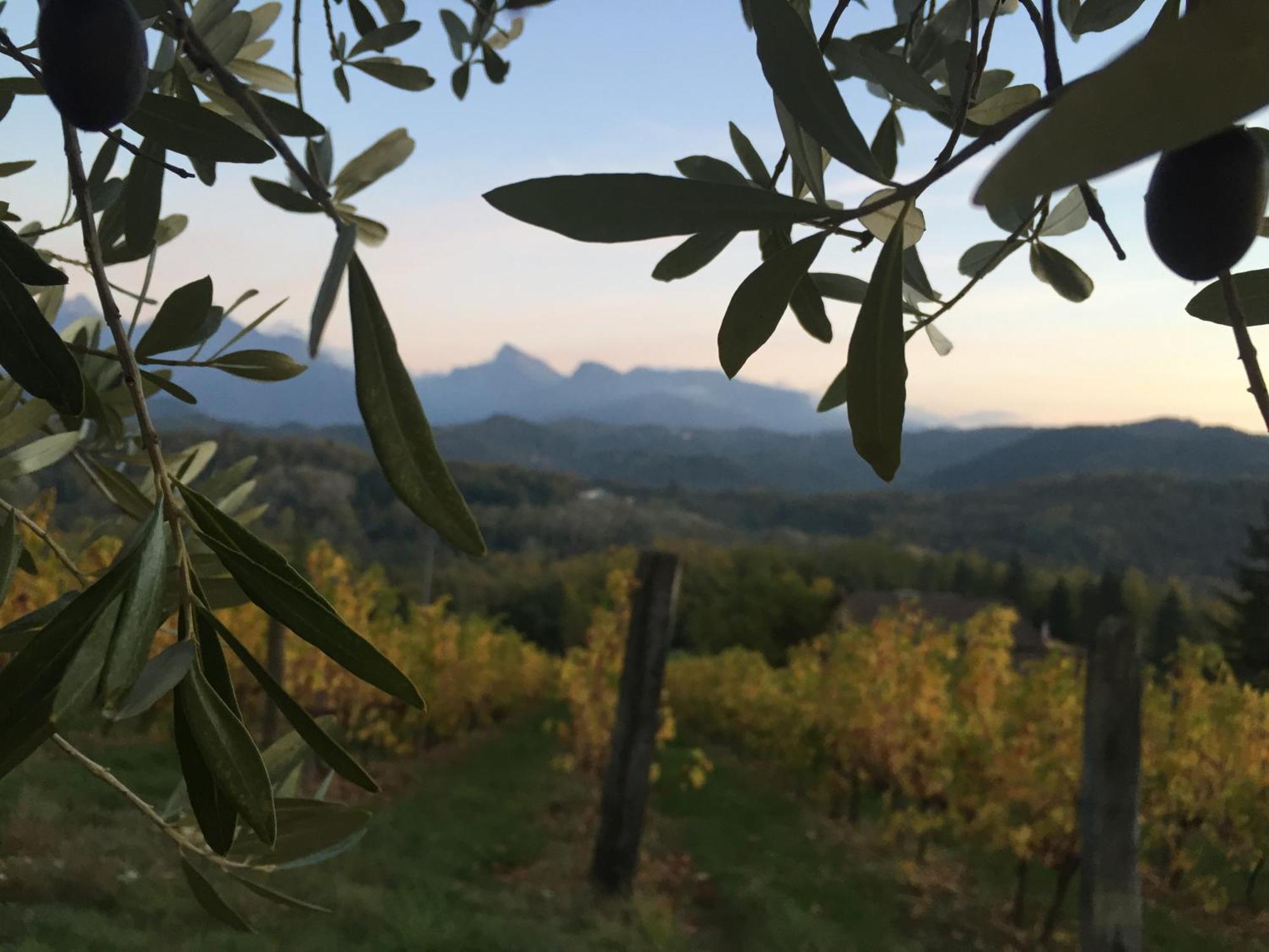 Agriturismo Il Bardellino Fivizzano Exterior photo