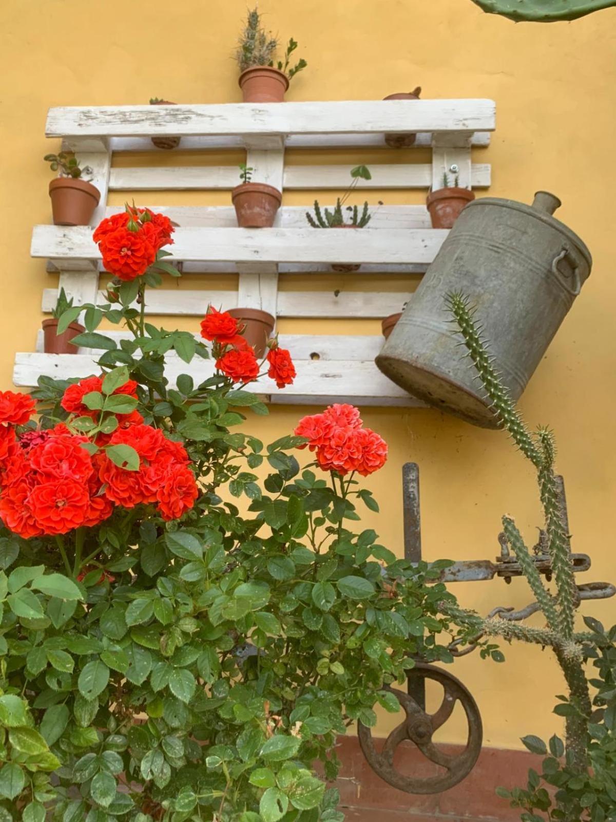Agriturismo Il Bardellino Fivizzano Exterior photo